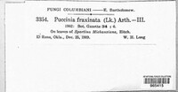 Puccinia fraxinata image
